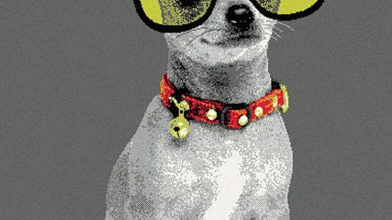 Covor Flash 33304/160 Dog Multicolor 120x170 cm