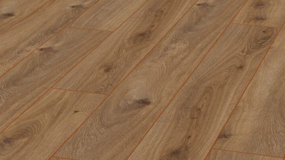 Parchet laminat Amazone 10 mm 4166 Stejar Prestige