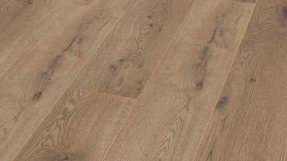 Parchet laminat Amazone 10 mm 3668 Stejar Dezent