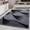 Covor Parma 9240 Negru