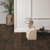 Parchet laminat Quick Step Capture 9 mm 4756 Stejar ceruit maro