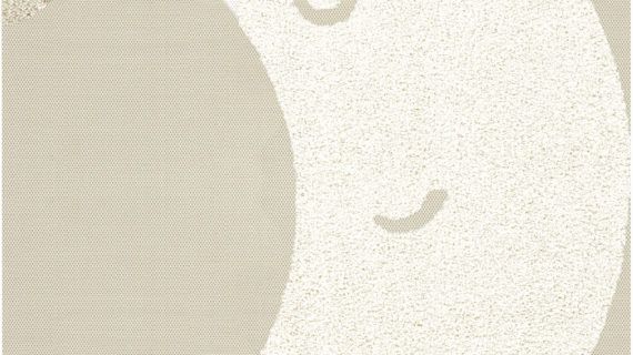 Covor Rituals 15573/365 Gri 120x170 cm