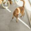 Parchet laminat Quick Step Muse 8 mm 5488 Ciment cu aspect gri