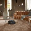 Mocheta Gaia Indus 35 Maro
