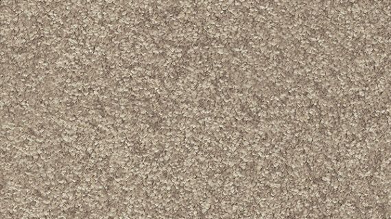 Mocheta Gaia Indus 35 Maro