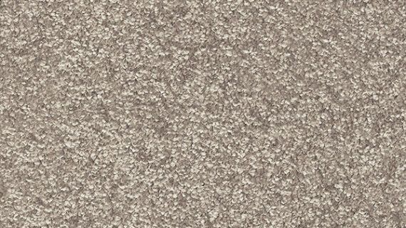 Mocheta Gaia Indus 36 Maro