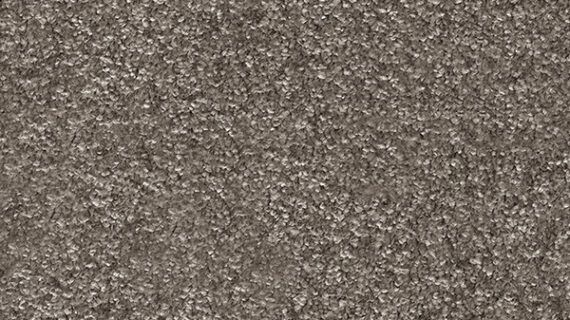 Mocheta Gaia Indus 40 Maro inchis