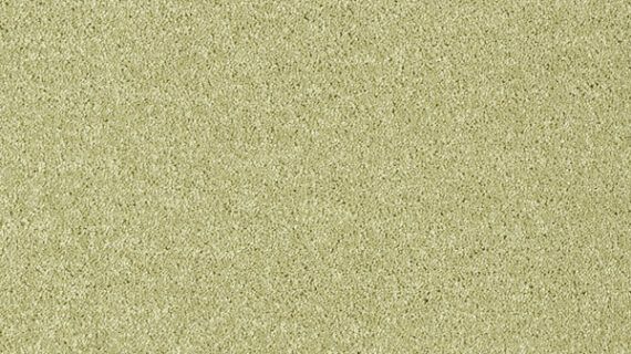 Mocheta Sedna Kai 21 Verde