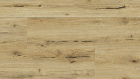 Parchet laminat Emotions 4V 8MM 62496 Stejar Ardesia