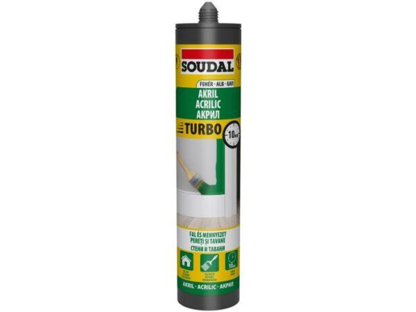 Mastic acrilic Express alb 280 ml