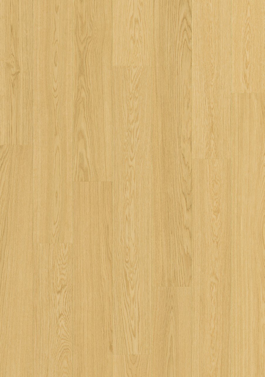 Parchet laminat Quick Step Impressive 8 mm 8259 Stejar nisipos