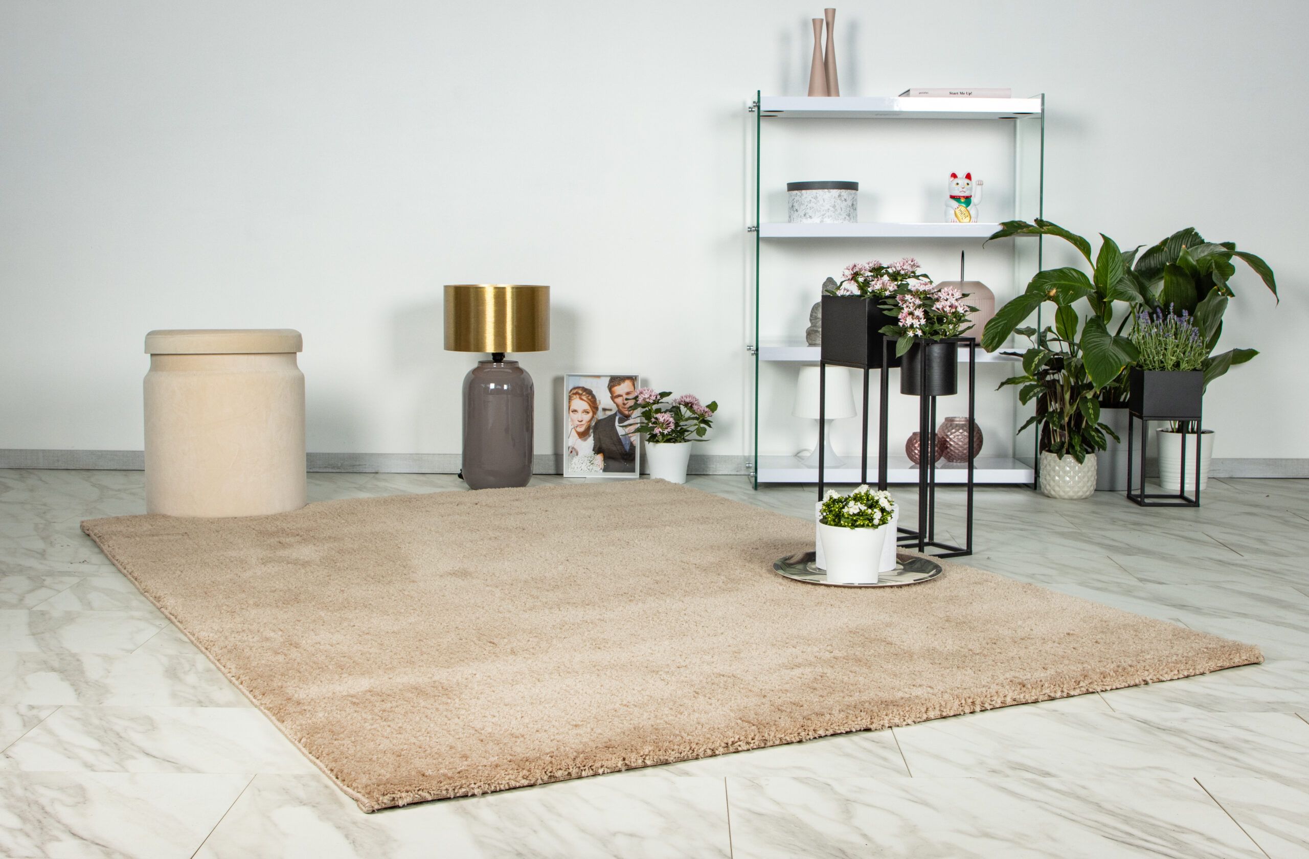 Covor Dream 500 Sampanie