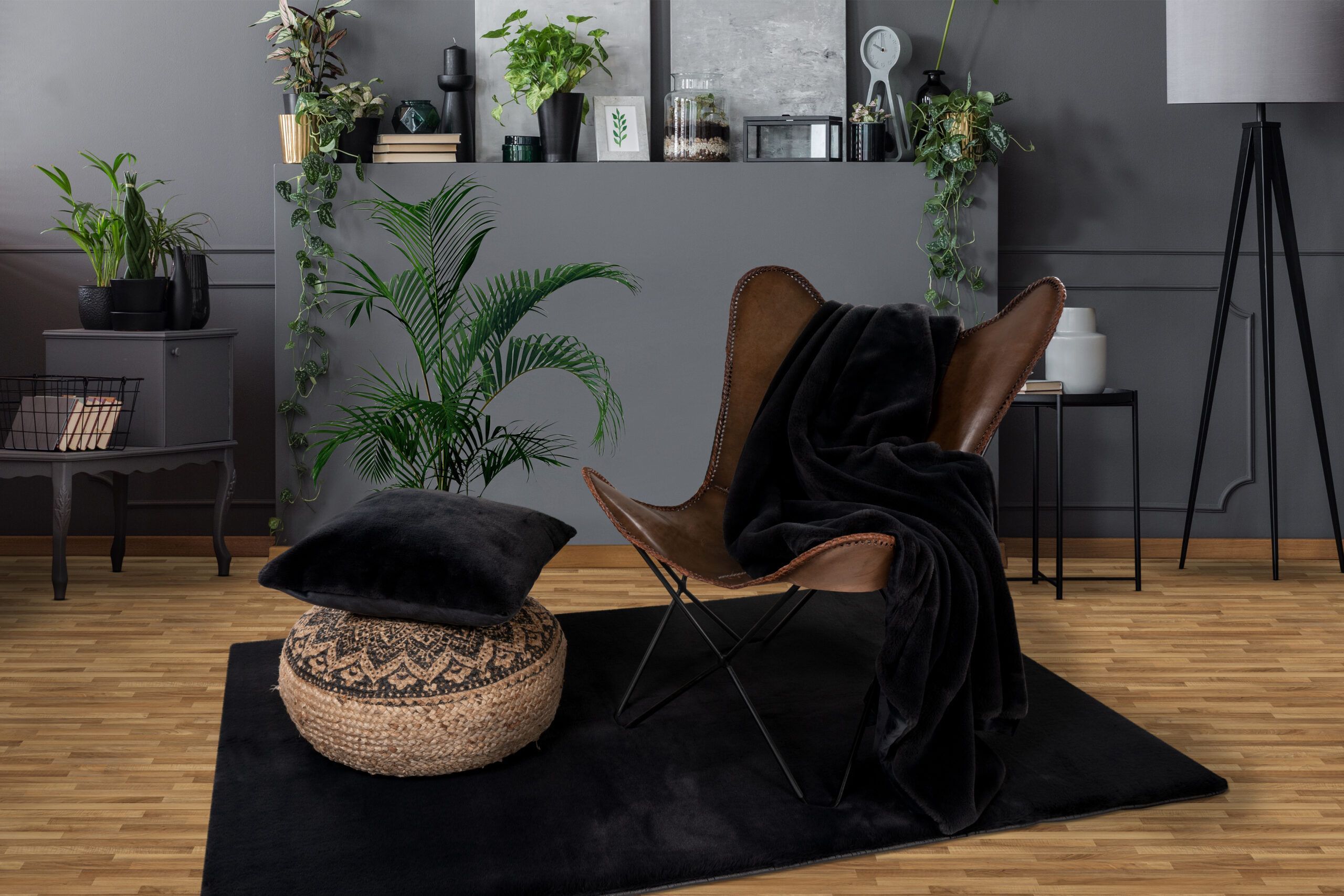 Patura Heaven 800 Negru 150x200 cm